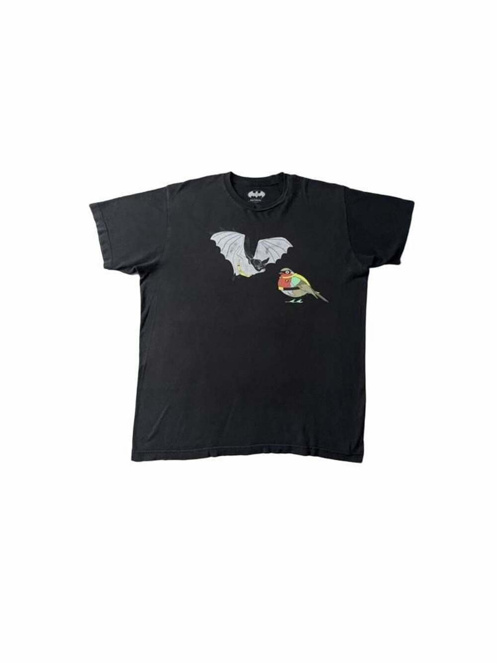 Buy Batman & Robin DC Comics Mens T-Shirt - Literally A Bat & Robin,